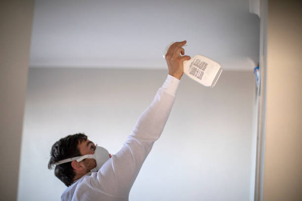 Best DIY Mold Remediation Support Services in Beechwood Village, KY